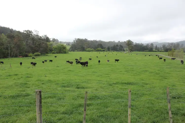Sixth view of Homely land listing, 2/513 South Winkleigh Road, Glengarry TAS 7275