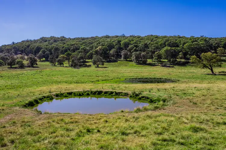 Second view of Homely rural property listing, 818 Glassers Road, Guyra NSW 2365