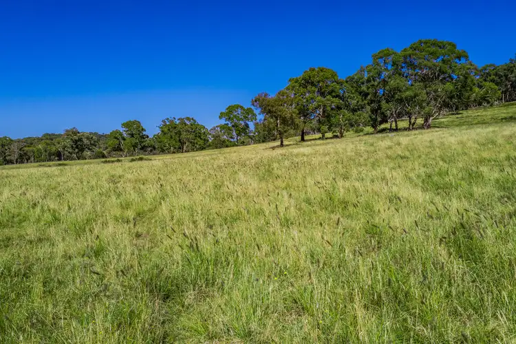 Third view of Homely rural property listing, 818 Glassers Road, Guyra NSW 2365