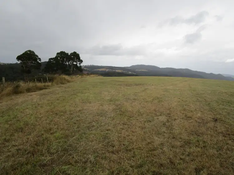 Fourth view of Homely rural property listing, 134 Williams Road, Wilmot TAS 7310