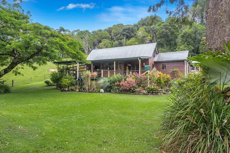 Main view of Homely rural property listing, 670 Wilsons Creek Road, Wilsons Creek NSW 2482