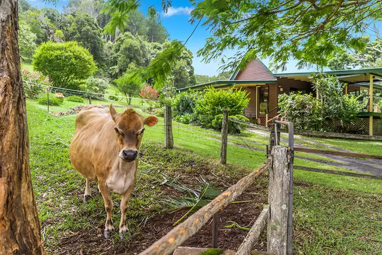 Second view of Homely rural property listing, 670 Wilsons Creek Road, Wilsons Creek NSW 2482