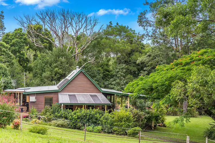 Fourth view of Homely rural property listing, 670 Wilsons Creek Road, Wilsons Creek NSW 2482