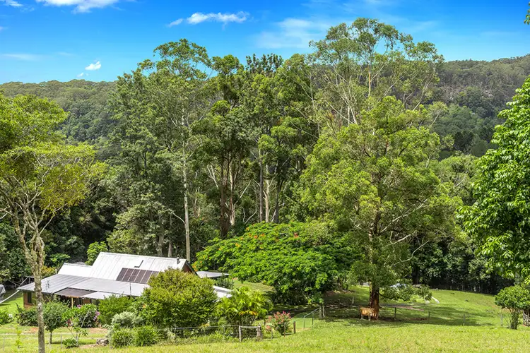 Fifth view of Homely rural property listing, 670 Wilsons Creek Road, Wilsons Creek NSW 2482