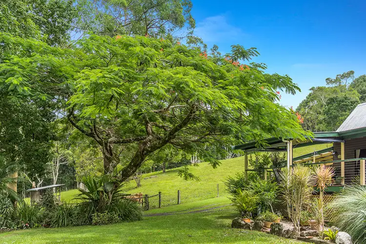 Sixth view of Homely rural property listing, 670 Wilsons Creek Road, Wilsons Creek NSW 2482