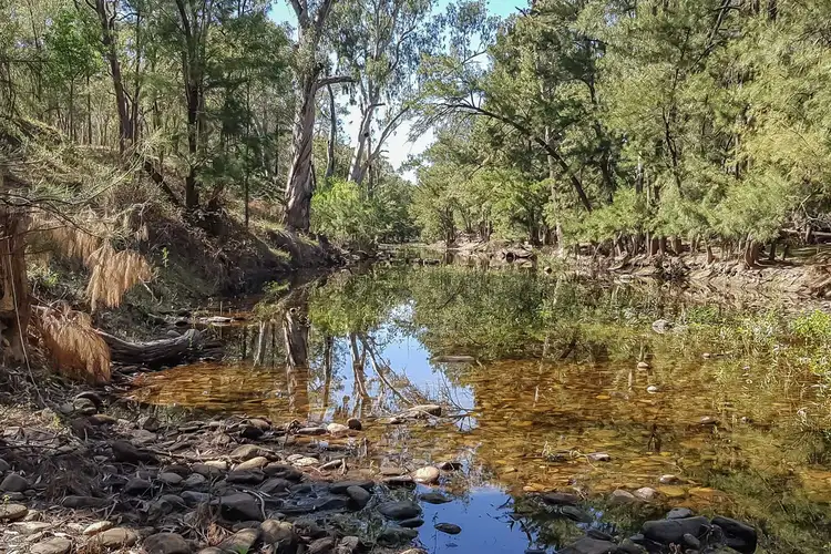 1865 Yarrabin Road, Mudgee NSW 2850