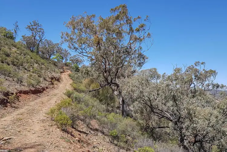 Third view of Homely rural property listing, 1865 Yarrabin Road, Mudgee NSW 2850