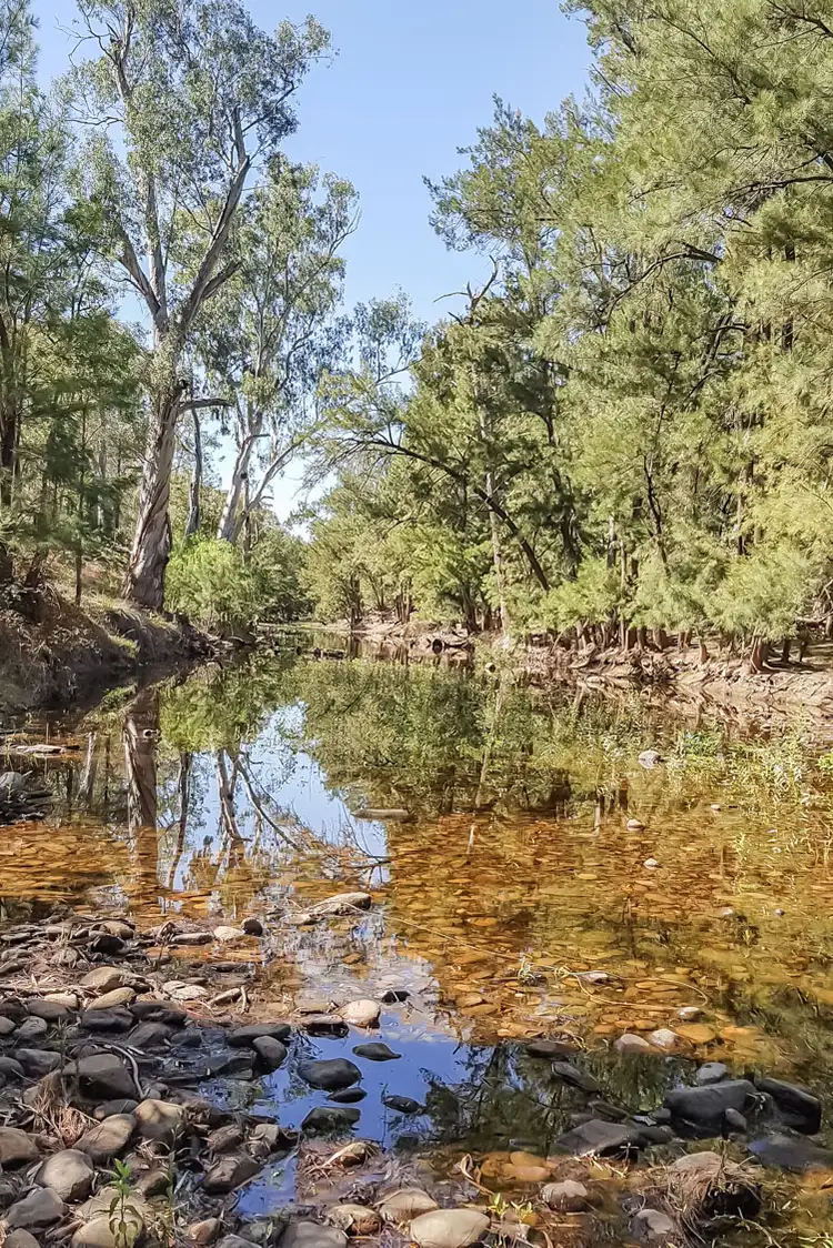 Fifth view of Homely rural property listing, 1865 Yarrabin Road, Mudgee NSW 2850