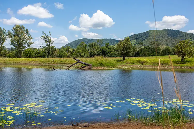 Lot 5 Blue Gum Road, Pie Creek QLD 4570