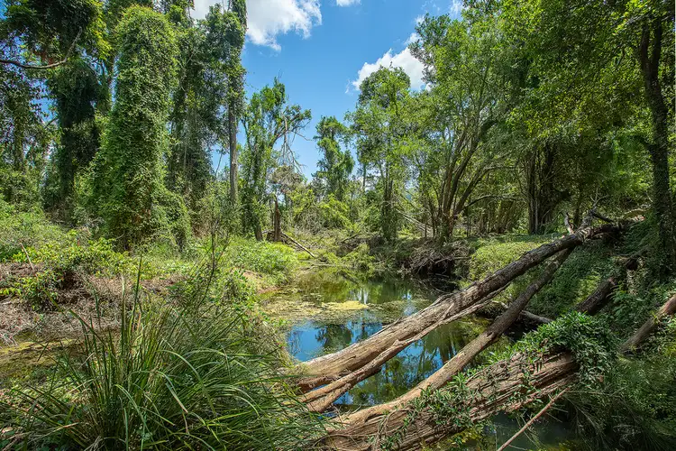 Second view of Homely land listing, Lot 5 Blue Gum Road, Pie Creek QLD 4570