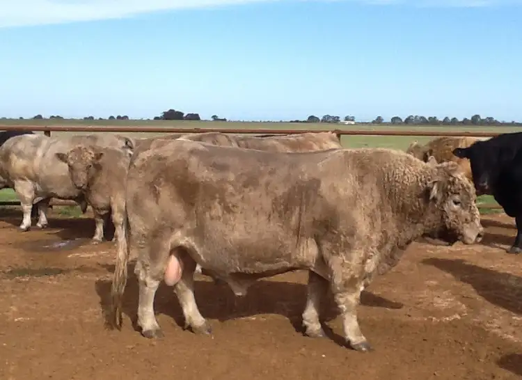 Seventh view of Homely rural property listing, Address available on request