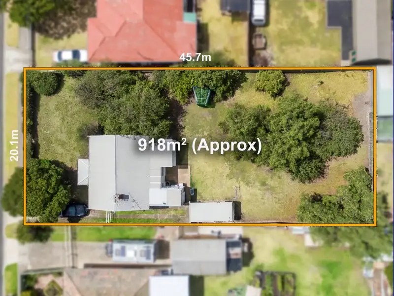 Main view of Homely house listing, 16 Pine Avenue, North Shore VIC 3214