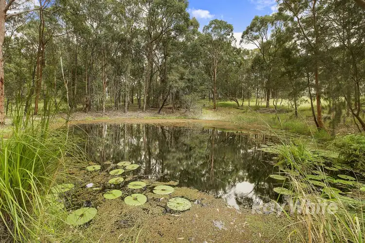 Seventh view of Homely rural property listing, 1096 Freemans Drive, Cooranbong NSW 2265