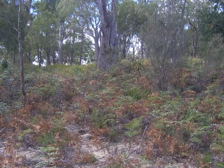 Third view of Homely land listing, 16 Dodges Hill Road, Dodges Ferry TAS 7173