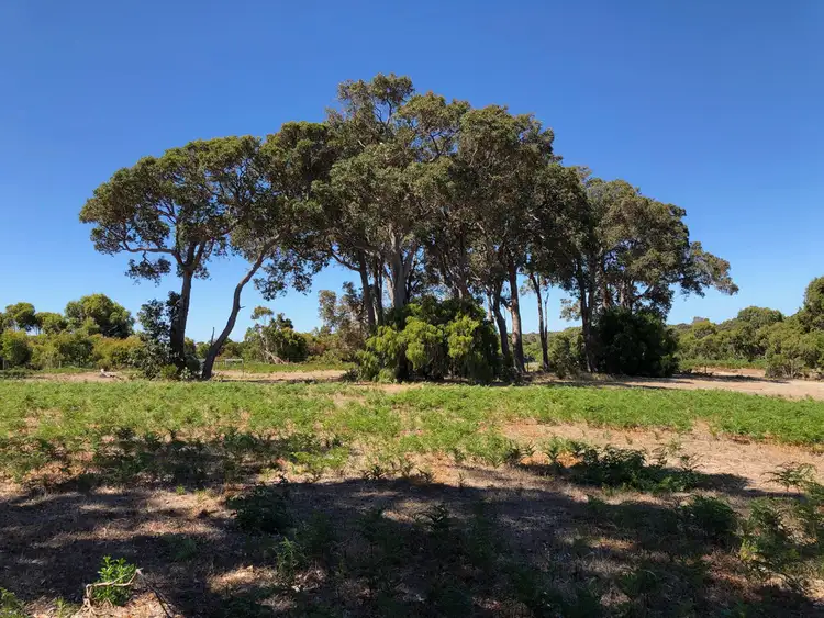 Seventh view of Homely land listing, Lot 106 Kilcarnup Road, Burnside, Margaret River WA 6285
