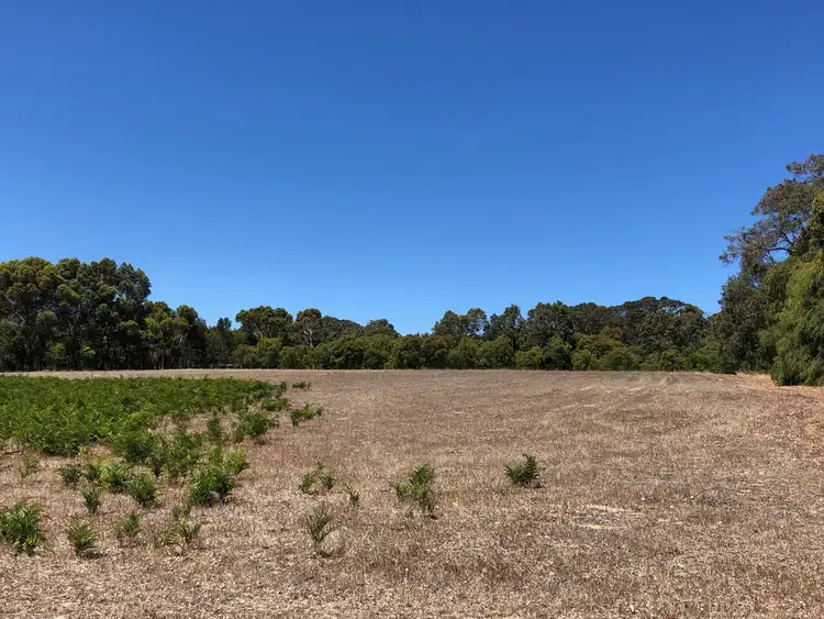 Fifth view of Homely land listing, Lot 123 Mentelle Road, Burnside, Margaret River WA 6285