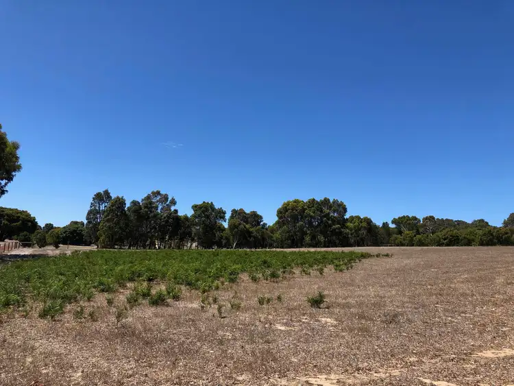 Seventh view of Homely land listing, Lot 123 Mentelle Road, Burnside, Margaret River WA 6285