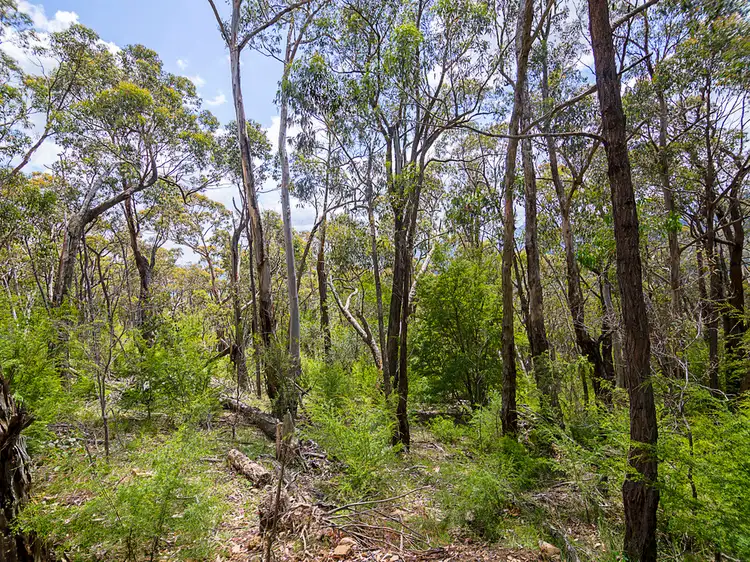 610 Don Road, Badger Creek VIC 3777