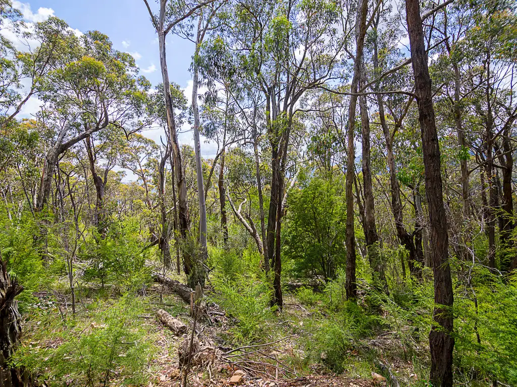 Main view of Homely land listing, 610 Don Road, Badger Creek VIC 3777