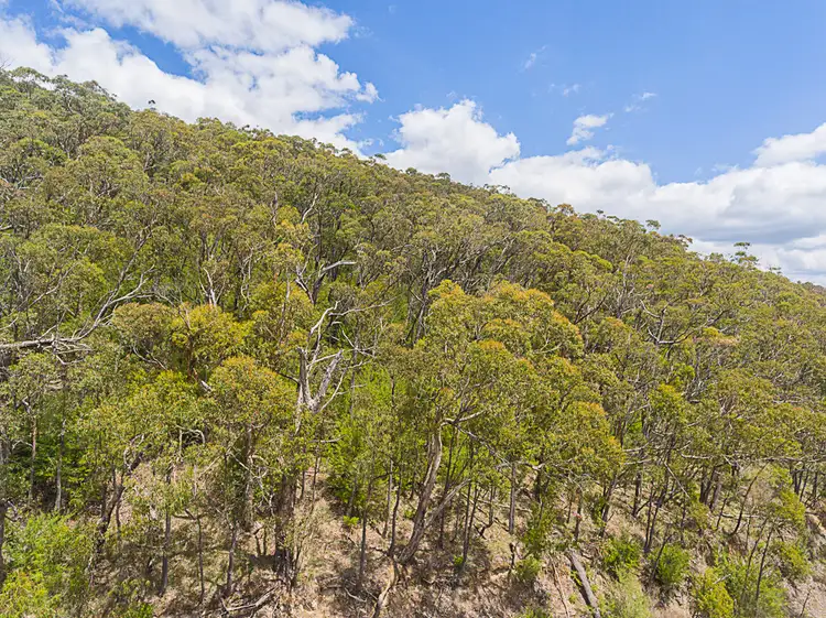 Fourth view of Homely land listing, 610 Don Road, Badger Creek VIC 3777