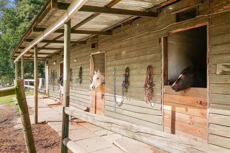Third view of Homely house listing, 298 Myers Creek Road, Healesville VIC 3777