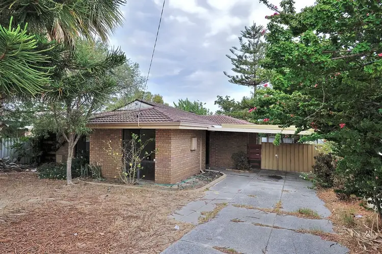 Main view of Homely house listing, 39 Steedman Loop, Mirrabooka WA 6061