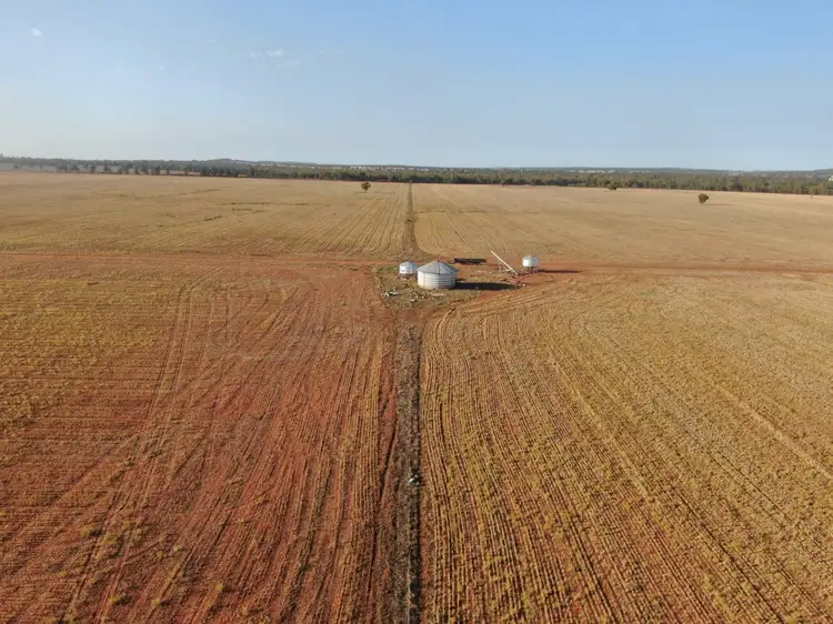 - West Wyalong Condobolin Road, West Wyalong NSW 2671