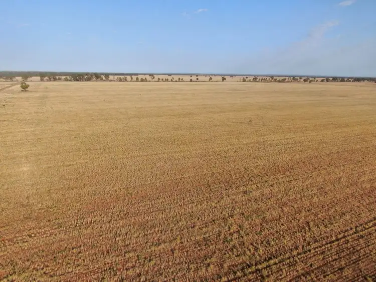 Third view of Homely rural property listing, - West Wyalong Condobolin Road, West Wyalong NSW 2671