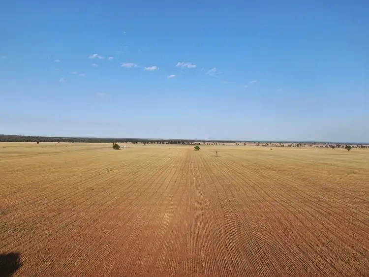 Fourth view of Homely rural property listing, - West Wyalong Condobolin Road, West Wyalong NSW 2671