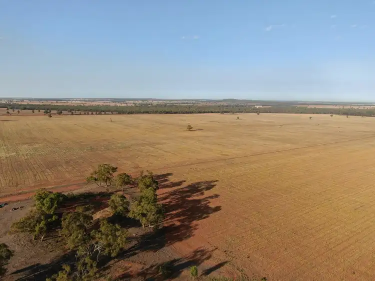 Fifth view of Homely rural property listing, - West Wyalong Condobolin Road, West Wyalong NSW 2671