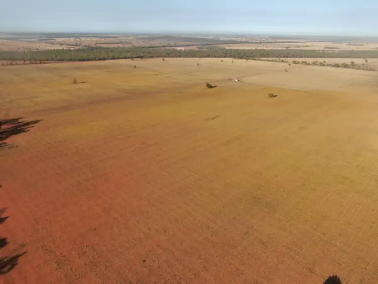 Sixth view of Homely rural property listing, - West Wyalong Condobolin Road, West Wyalong NSW 2671