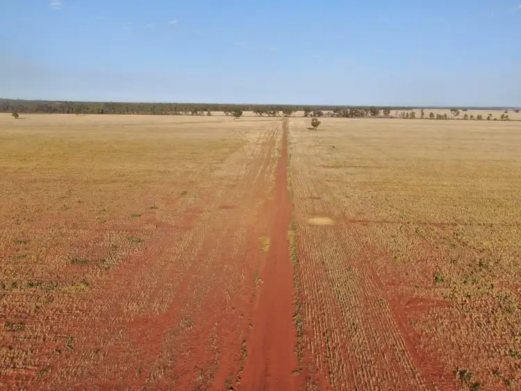 Seventh view of Homely rural property listing, - West Wyalong Condobolin Road, West Wyalong NSW 2671