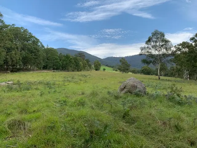 Main view of Homely rural property listing, 55 Buckleys Rd, Bemboka NSW 2550