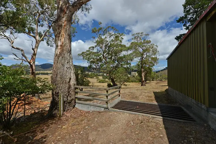 Fourth view of Homely house listing, 56 Backhouse Lane, Cambridge TAS 7170