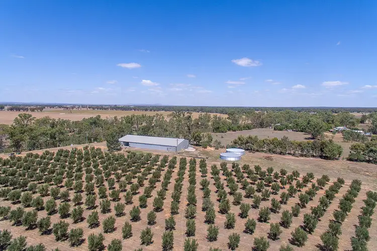 Third view of Homely rural property listing, 933 Newbridge-Bridgewater Rd, Newbridge VIC 3551