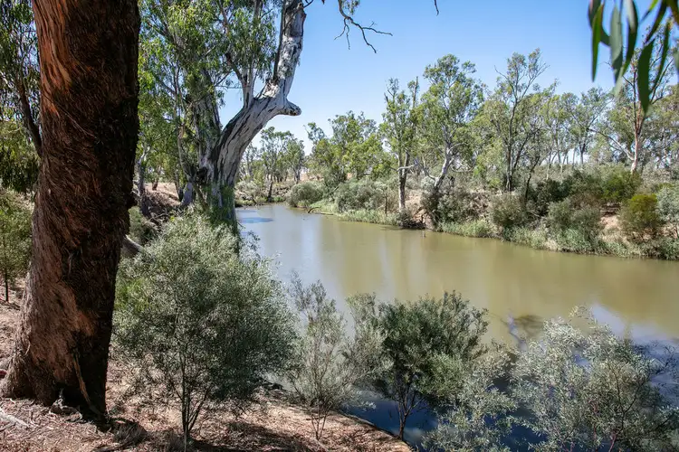 Fourth view of Homely rural property listing, 933 Newbridge-Bridgewater Rd, Newbridge VIC 3551