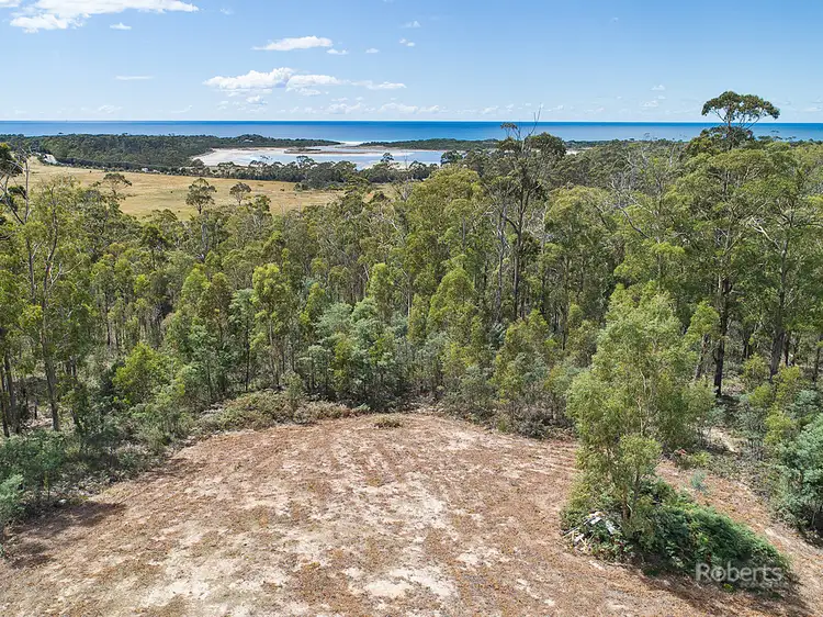 Main view of Homely land listing, 6 Barnard Drive, Bicheno TAS 7215