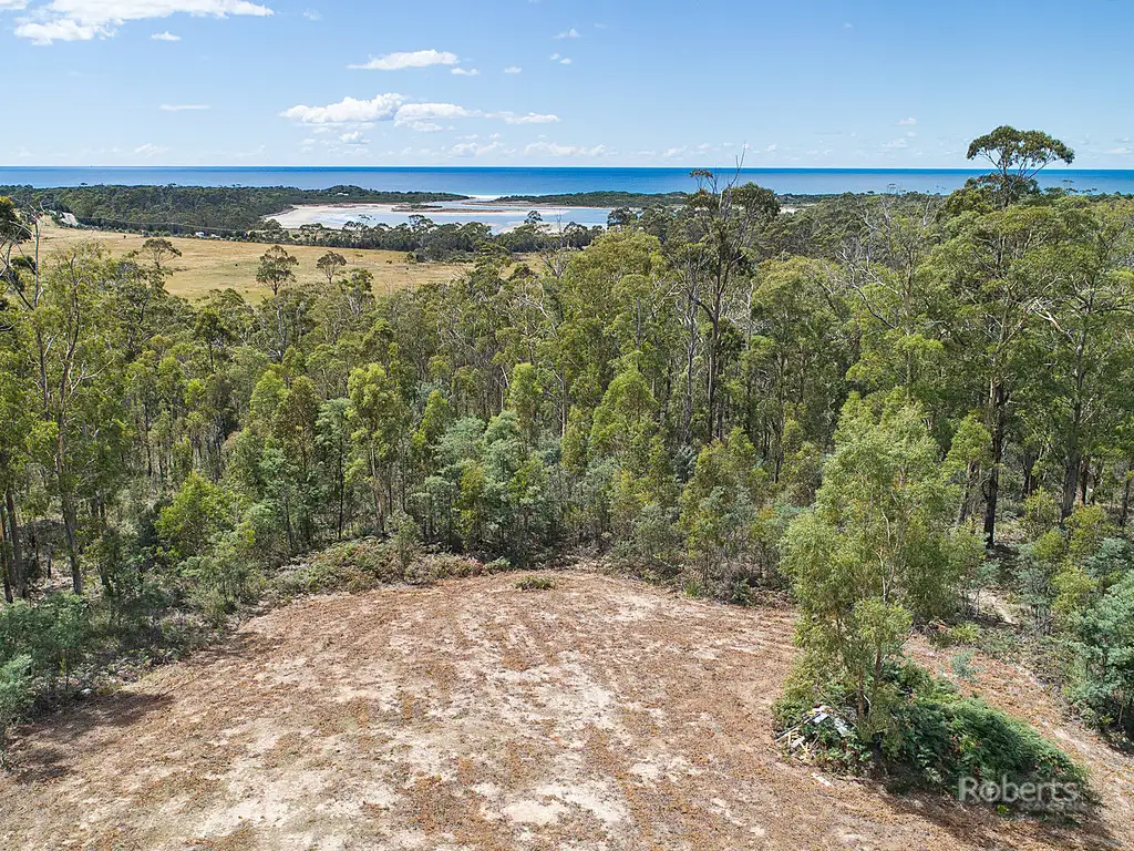 Main view of Homely land listing, 6 Barnard Drive, Bicheno TAS 7215