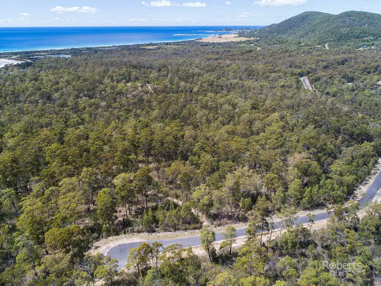 Second view of Homely land listing, 6 Barnard Drive, Bicheno TAS 7215