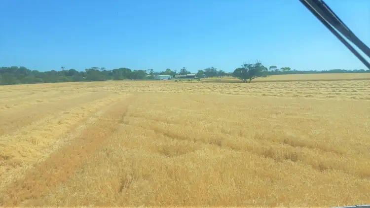 Third view of Homely rural property listing, 23 Tauragat Well Road, Coonalpyn SA 5265