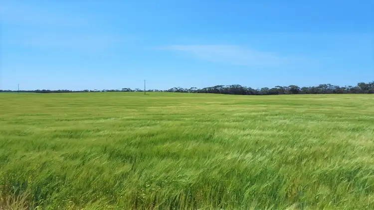 Sixth view of Homely rural property listing, 23 Tauragat Well Road, Coonalpyn SA 5265