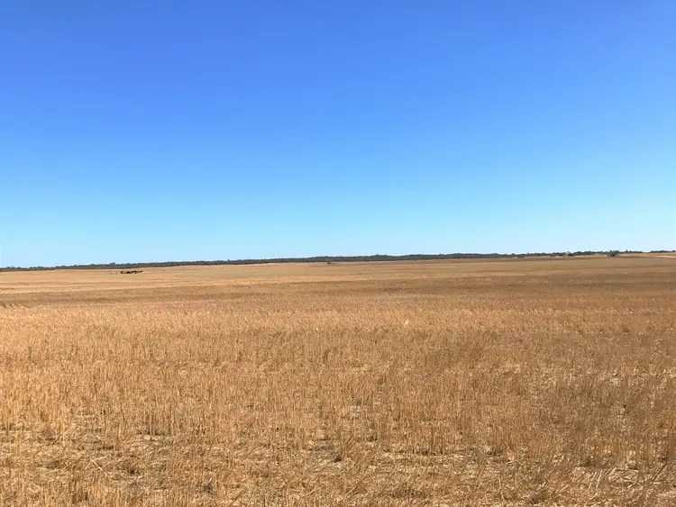 Seventh view of Homely rural property listing, 23 Tauragat Well Road, Coonalpyn SA 5265