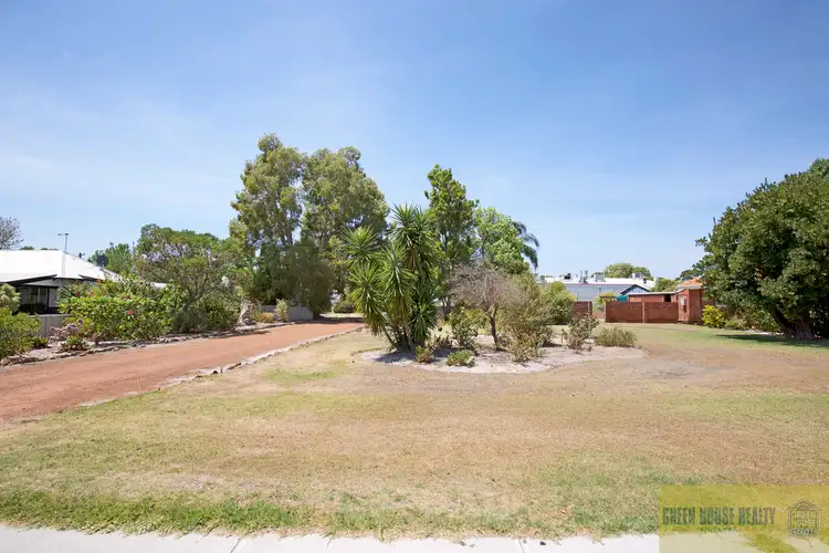 4 Congdon Avenue, Pinjarra WA 6208