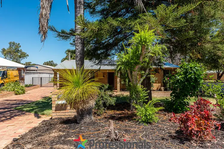 Main view of Homely house listing, 79 Yeedong Road, Falcon WA 6210