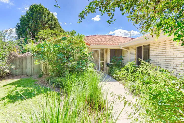 41 Oak Street, Cooroy QLD 4563