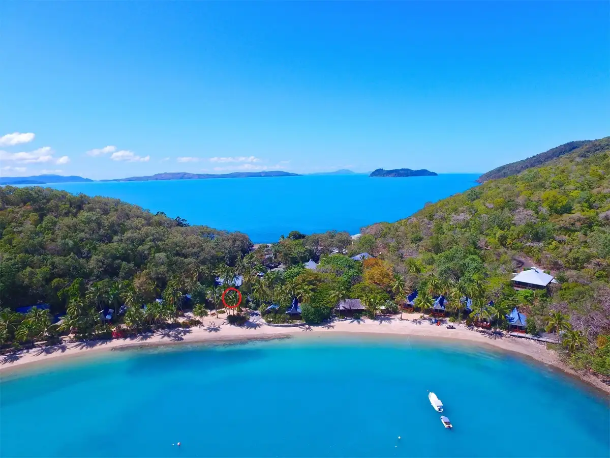 Main view of Homely unit listing, Bure 10 Palm Bay, Long Island QLD 4741