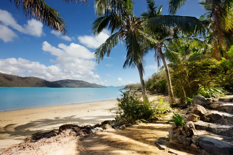 Sixth view of Homely unit listing, Bure 10 Palm Bay, Long Island QLD 4741