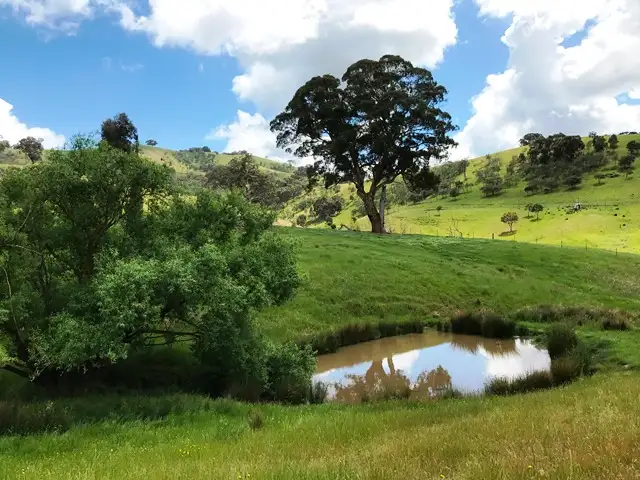 595 DRY CREEK ROAD, Bonnie Doon VIC 3720