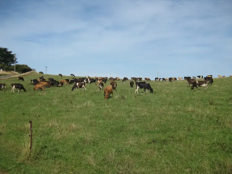 1353 & 1408 Oldina Road, Oldina TAS 7325