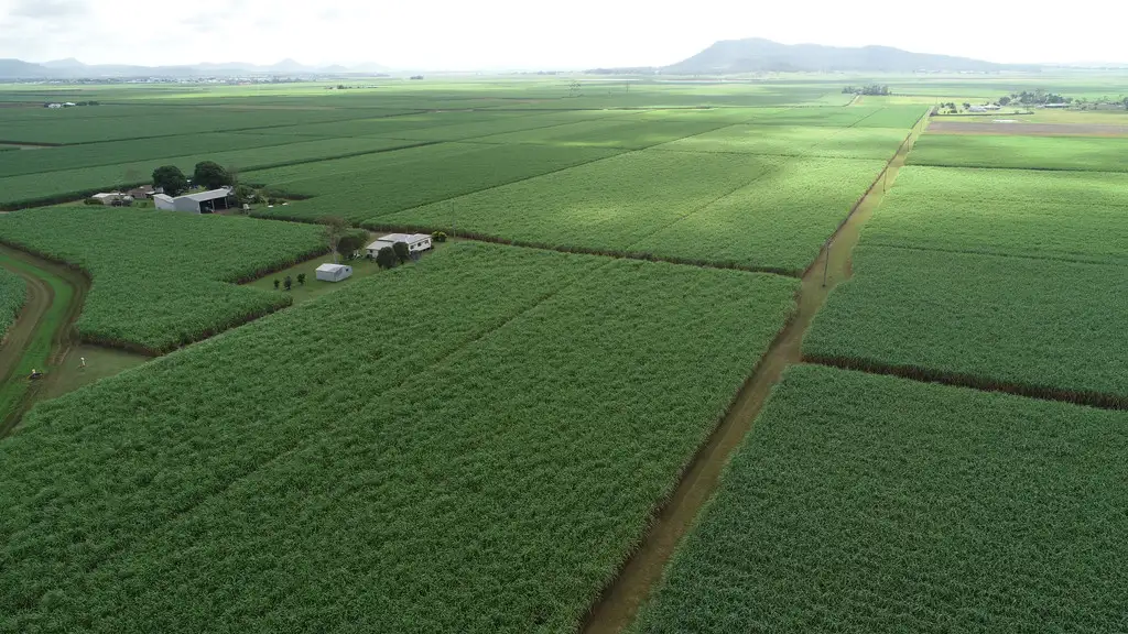 Main view of Homely rural property listing, 61 MULLERS ROAD, Marian QLD 4753